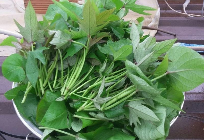 Rau lang tươi xanh, loại rau củ bổ dưỡng được khuyến nghị cho mẹ sau sinh mổ để hỗ trợ tiêu hóa