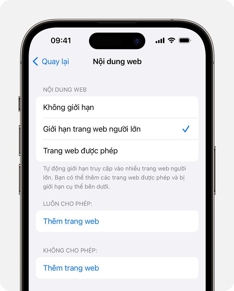 Thiết lập giới hạn nội dung web trong app quản lý trẻ em sử dụng iPad để bảo vệ trẻ khỏi trang web độc hại